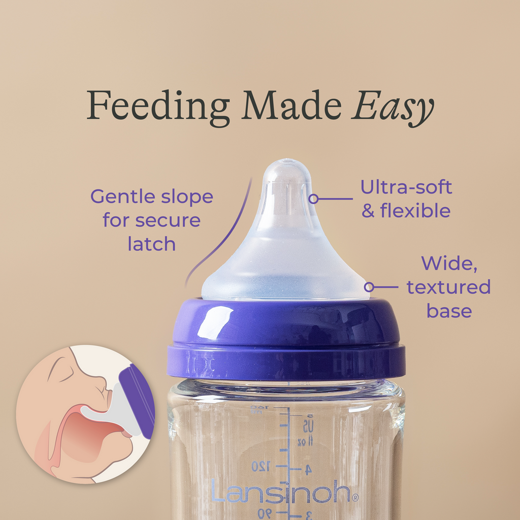 lansinoh baby bottle 4 count